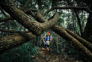 BIB: 
                            <button type="button" onclick="openModal(25707401)" class="btn btn-primary btn-sm float-right btn-popup" data-toggle="modal" data-target=".modal-high-quality">
                        <i class="fas fa-shopping-cart"></i> Add to Cart
                    </button>
                                            <button type="button" onclick="isThisMe(25707401, true)" class="btn btn-success btn-sm float-right btn-popup btn-isme hidden" data-toggle="tooltip" data-placement="bottom" title="นี่คือรูปของคุณใช่ไหม คลิกที่นี่เพื่อเอาเข้าอัลบั้ม">
                        <i class="fas fa-plus"></i> Add to album
                    </button>
                    <button type="button" onclick="isThisMe(25707401, false)" class="btn btn-warning btn-sm float-right btn-popup btn-isnotme hidden">
                        <i class="fas fa-ban"></i> Remove from album
                    </button>